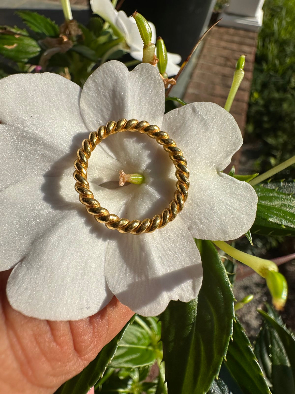 24K Gold 3mm Twist Band